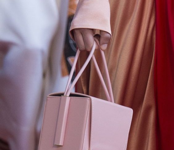Why do Internet Celebrities like Shiny Bags?